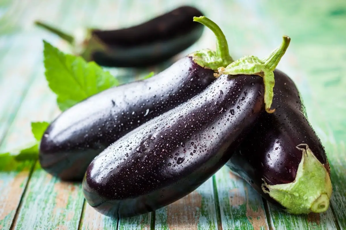 Can You Have Eggplant On Keto Diet