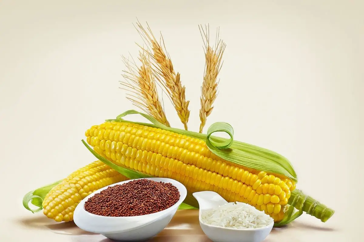 Eating Corn On Low Carb Keto Diet What You Need To Know Butter And