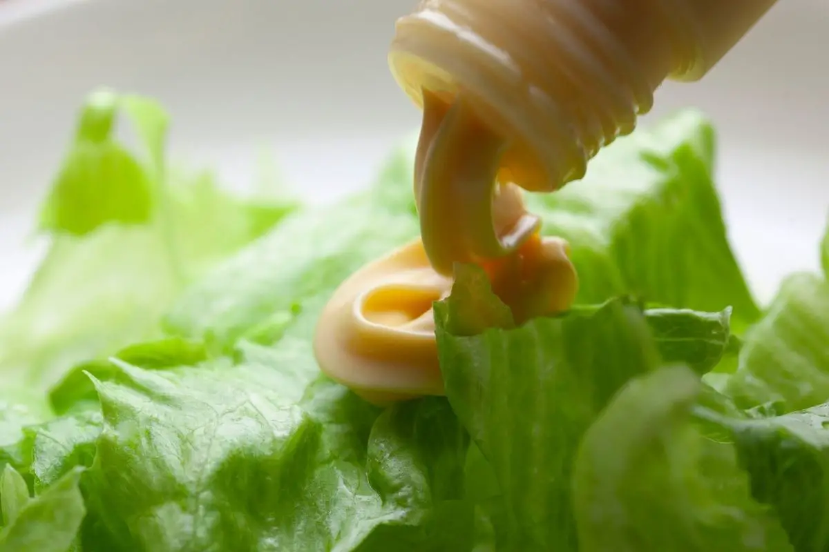 Hellmann’s Mayonnaise On The Keto Diet What You Need To Know Butter