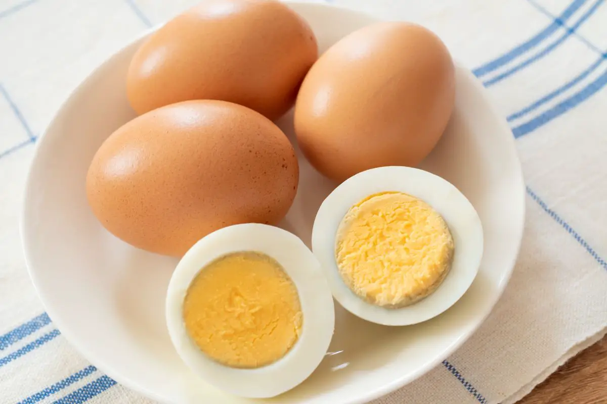 benefits-of-eating-boiled-eggs-eating-1-boiled-egg-every-day-youtube