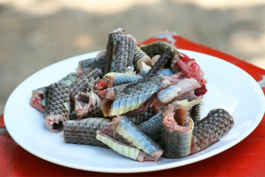 What Does Snake Meat Taste Like? Butter And Salt Gatherings