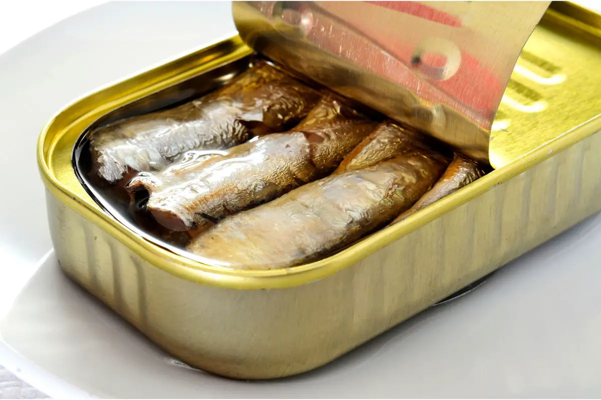 Are There Health Benefits To Eating Sardines?