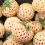 Do Pineberries Taste Nice? A Guide To Pineberries