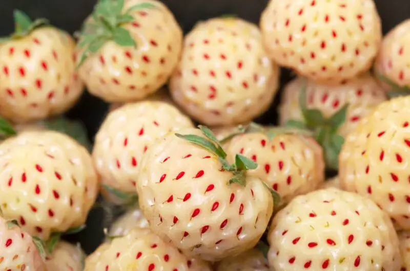 Do Pineberries Taste Nice? A Guide To Pineberries