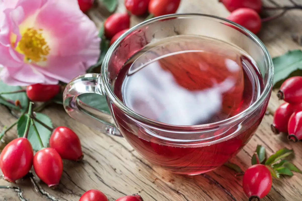 Everything You Need To Know About Rose Hip Tea