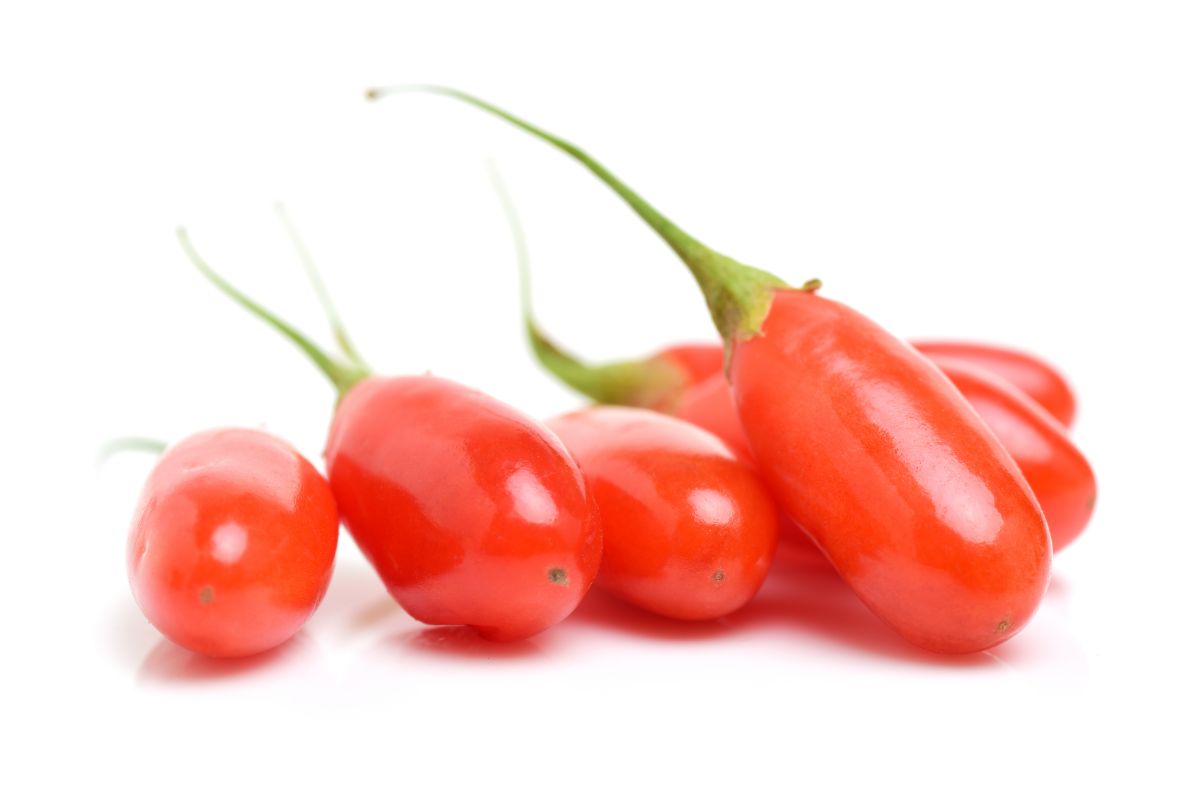 Goji Berries – What They Taste Like And Are They Good?