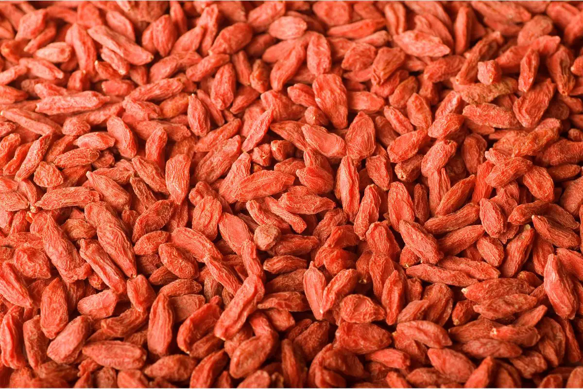 Goji Berries – What They Taste Like And Are They Good?