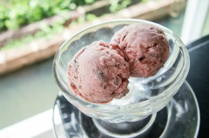 Red Bean Ice Cream: What Does it Taste Like, And Does It Taste Good?