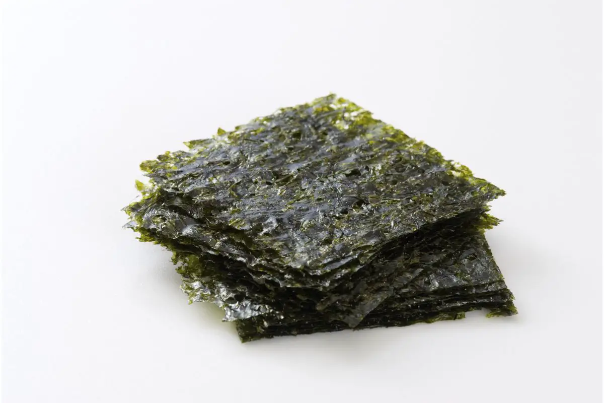 Sea Moss: How Does It Taste?
