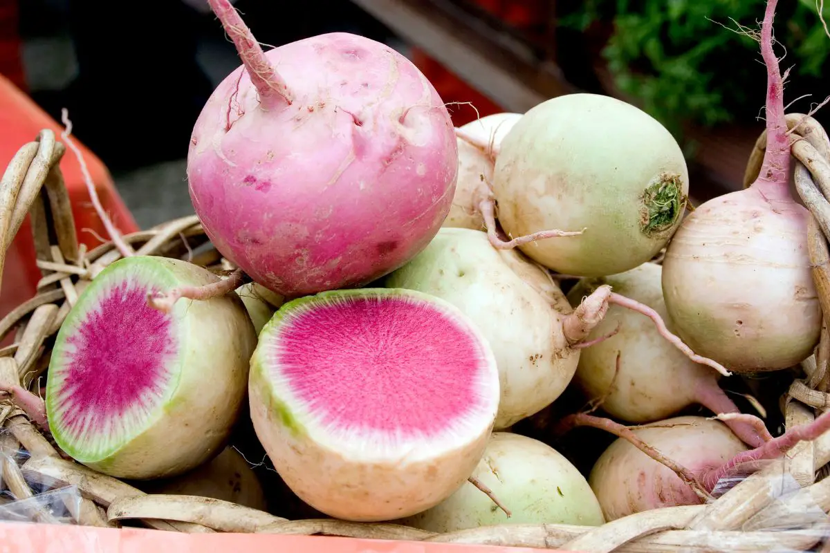 Watermelon Radishes: Everything You Need To Know! (1)