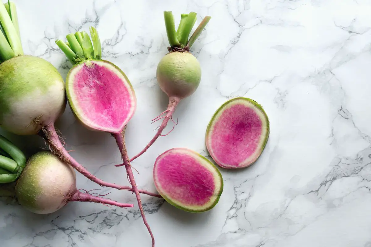 Watermelon Radishes: Everything You Need To Know!