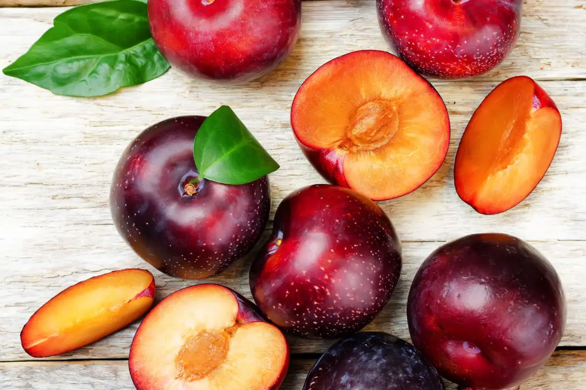 What Do Plums Taste Like? Do Plums Taste Good? Butter And Salt Gatherings