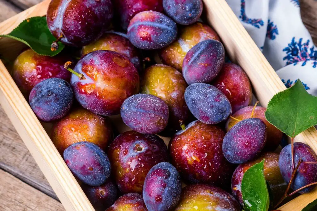 What Do Plums Taste Like? Do Plums Taste Good? - Butter And Salt Gatherings