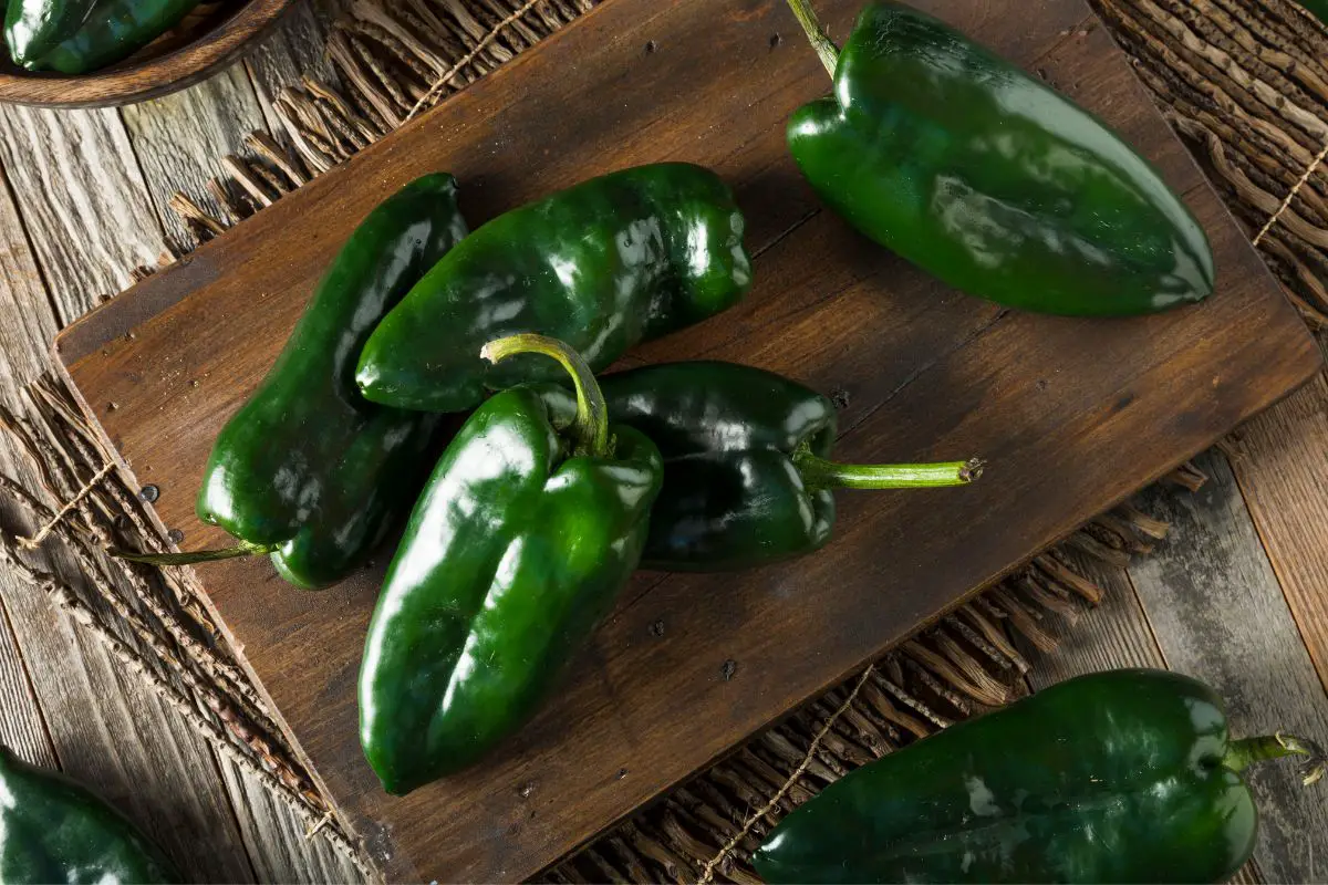 What Do Poblano Peppers Taste Like? (1)