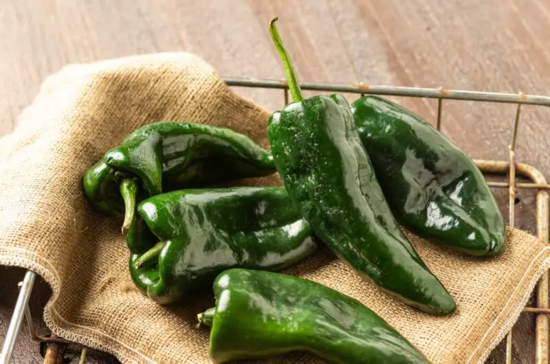 What Do Poblano Peppers Taste Like?
