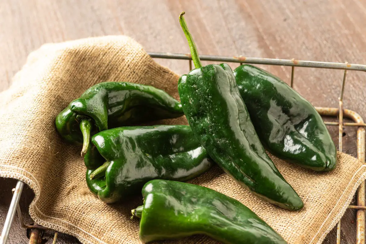 What Do Poblano Peppers Taste Like?