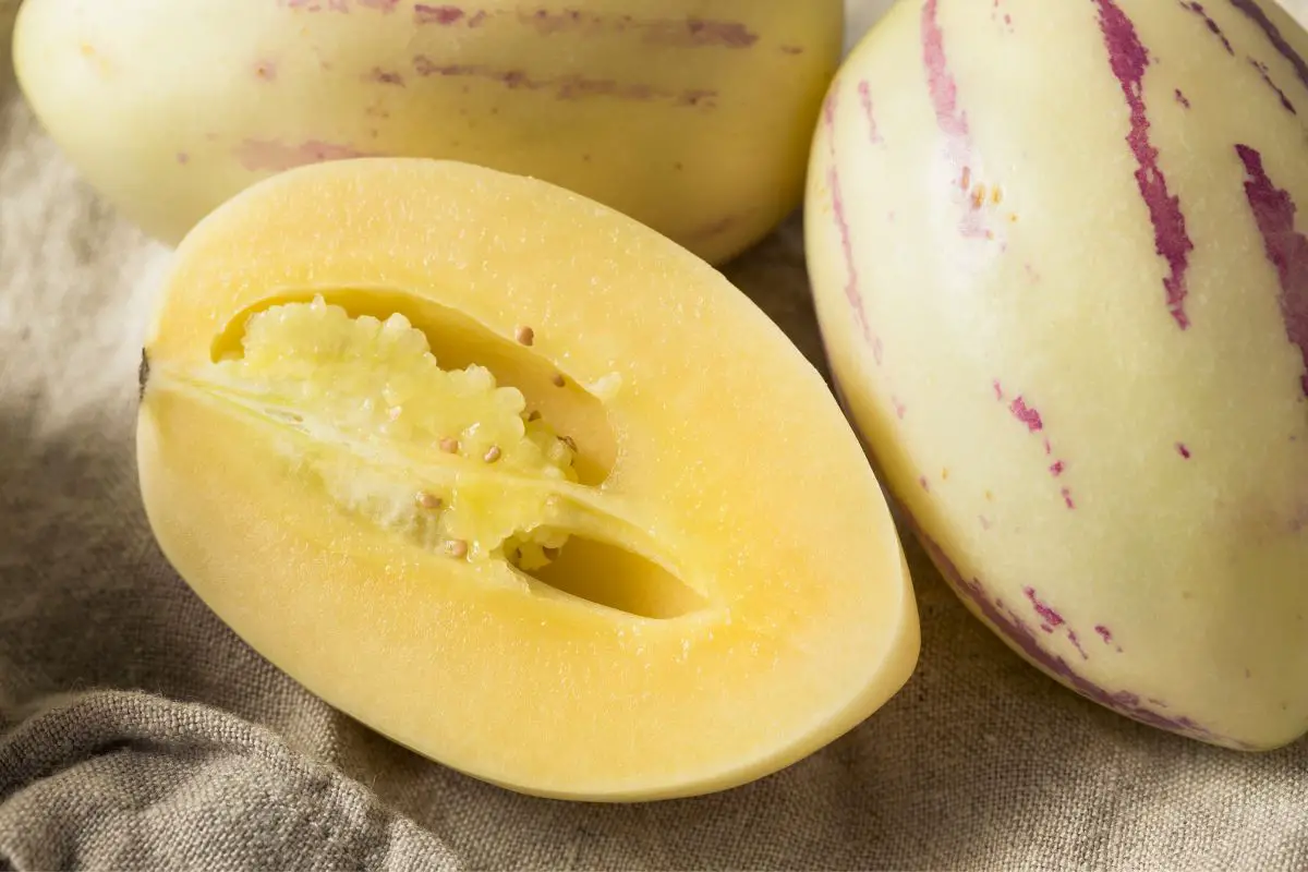 What Does Pepino Melon Taste Like? (1)
