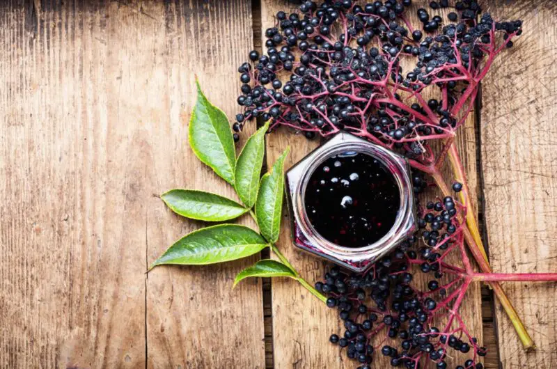 What Is The Flavor Of Elderberry? Is It Nice?