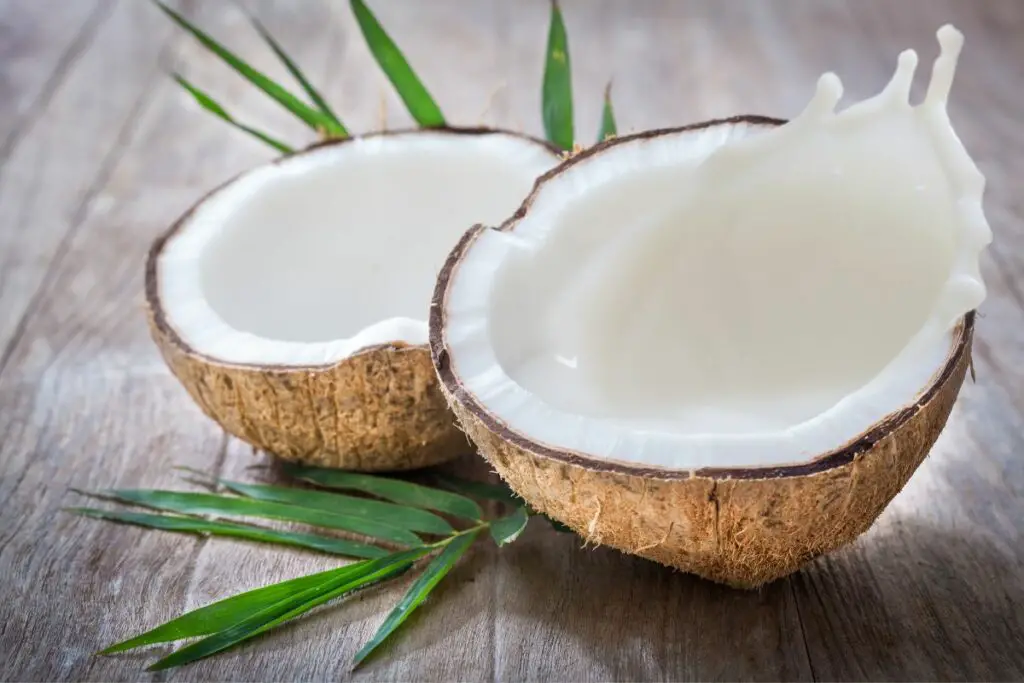 4 Coconut Milk Substitutes In Curry You Have To Try Butter And Salt Gatherings