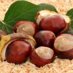 5 Chestnut Substitutes You Can Use