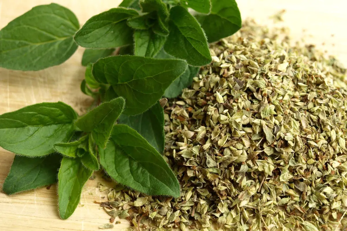 6 Best Oregano Substitutes