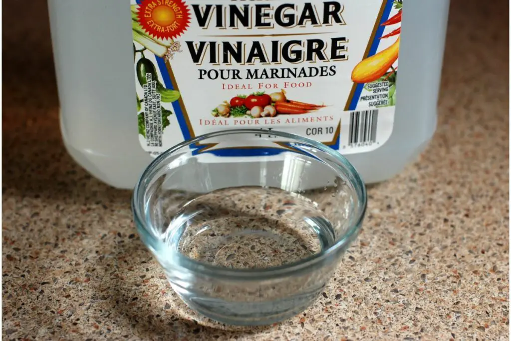 6 Cane Vinegar Substitutes You Can Use