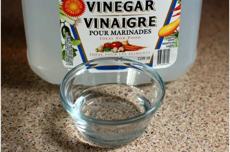 6 Cane Vinegar Substitutes You Can Use