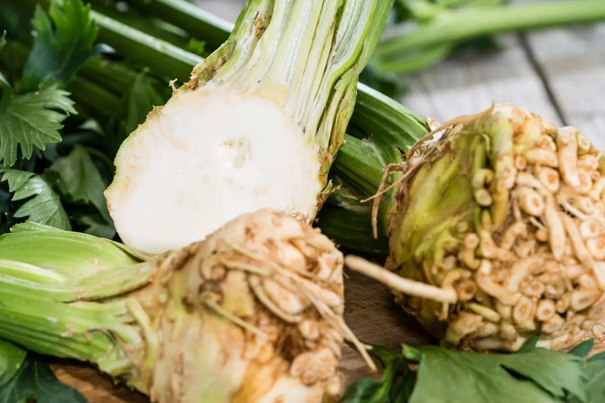 6 Celeriac Substitute You Can Use