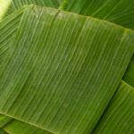 6 Incredible Banana Leaf Substitutes