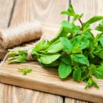 6 Mint Substitutes You Need To Know