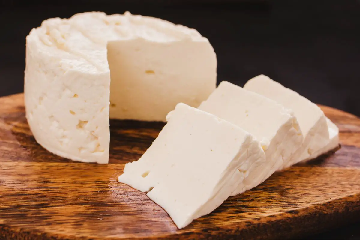 6 Of The Best Queso Blanco Substitutes You Should Use Today!