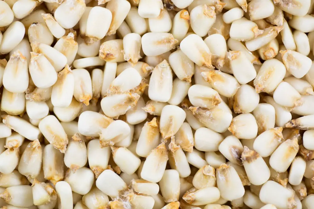 7 Delicious Hominy Substitutes