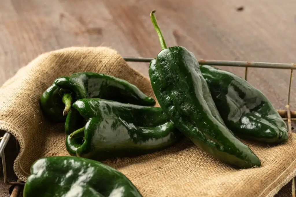 7 Poblano Pepper Substitutes