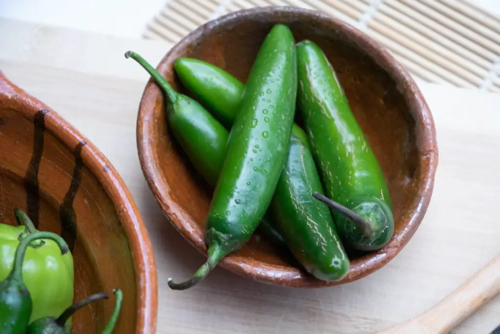 7 Poblano Pepper Substitutes