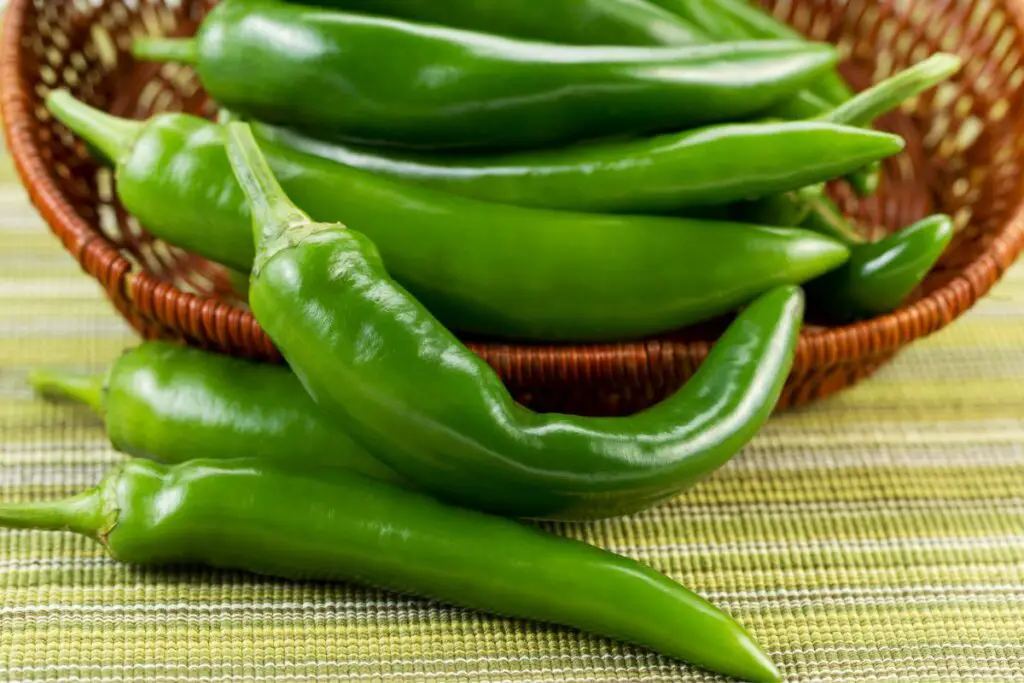 7 Poblano Pepper Substitutes 