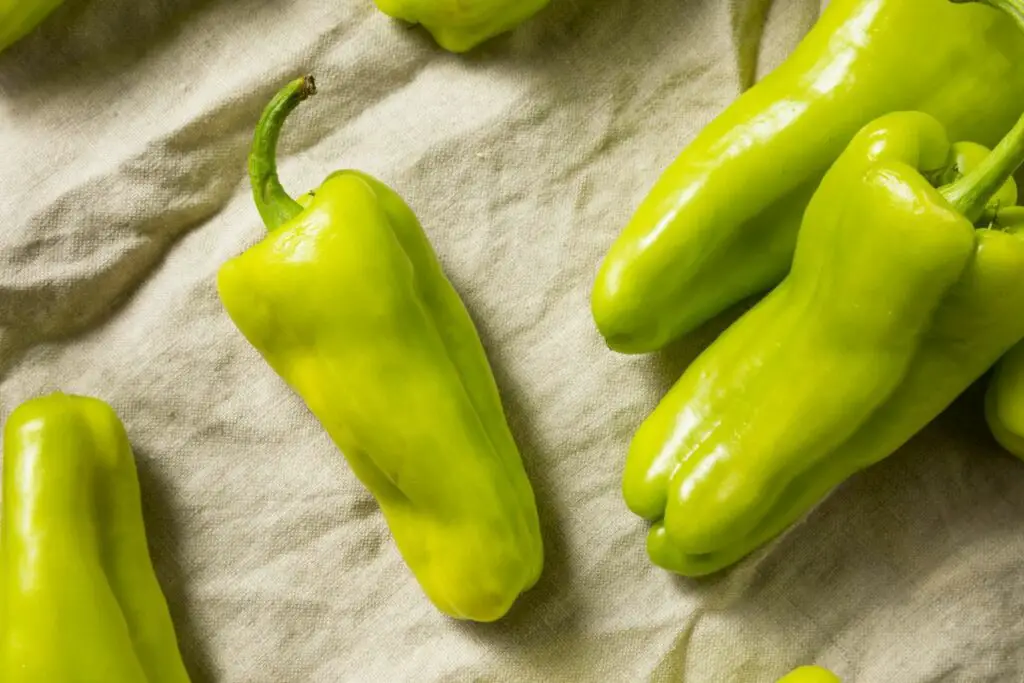 7 Poblano Pepper Substitutes