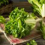 A-Complete-Guide-On-6-Of-The-Very-Best-Escarole-Lettuce-Substitutes
