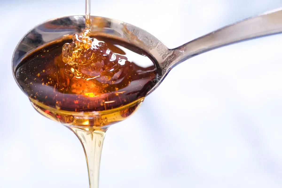 A Selection Of Tasty Barley Malt Syrup Substitutes You Must Try