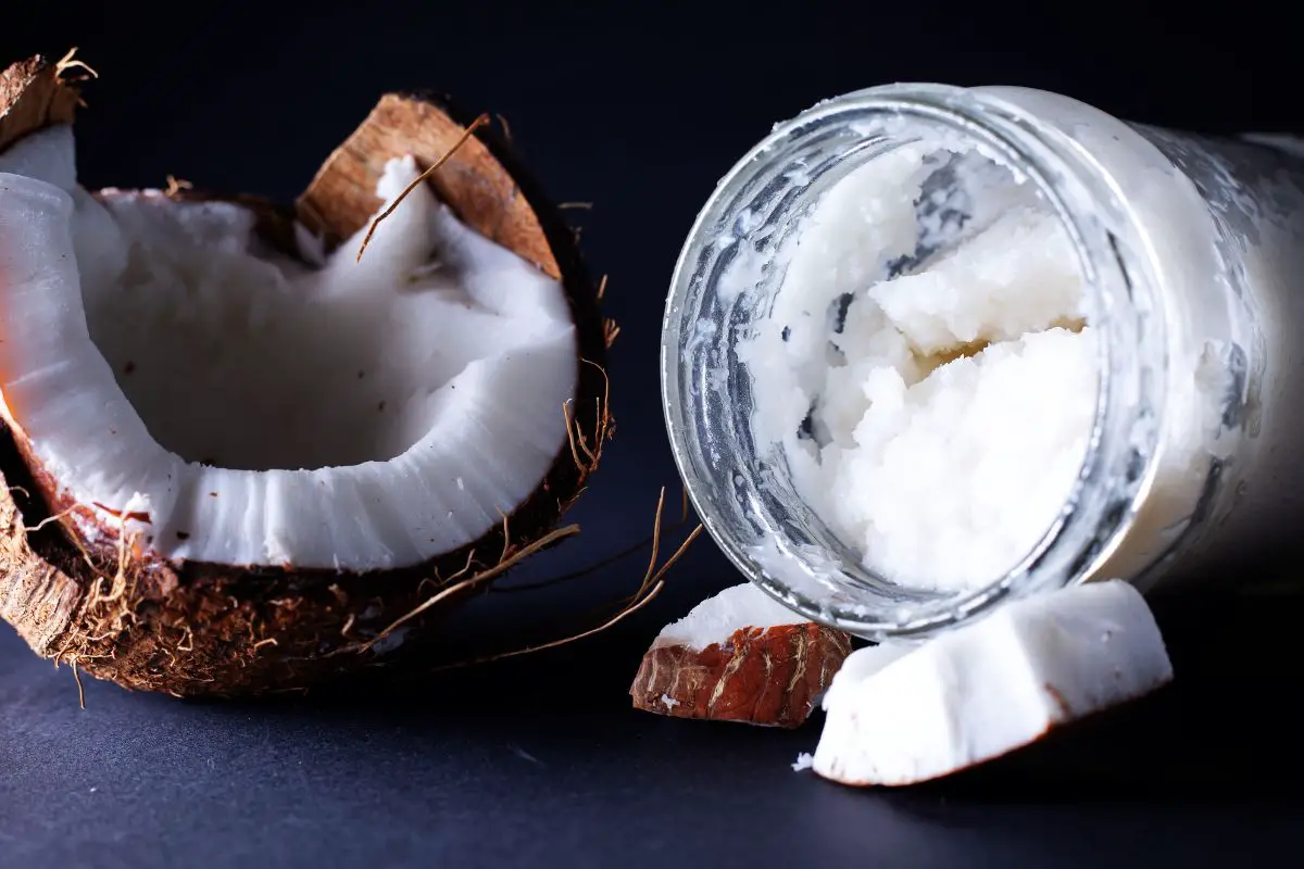 Coconut Butter Substitutes The 6 Alternatives You Need to Know
