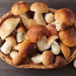 Exploring Porcini Mushroom Substitutes: 5 Excellent Alternatives For Your Recipes