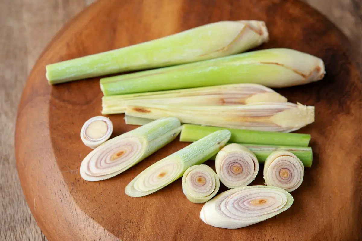 Galangal Substitutes - The 6 Best Alternatives! - Lemongrass