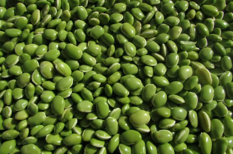 Here Are The Best Lima Beans Substitutes You Can Use Today