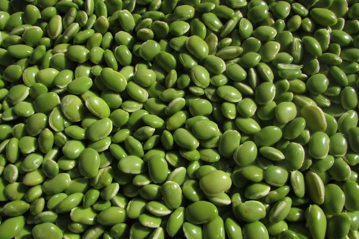 Here Are The Best Lima Beans Substitutes You Can Use Today