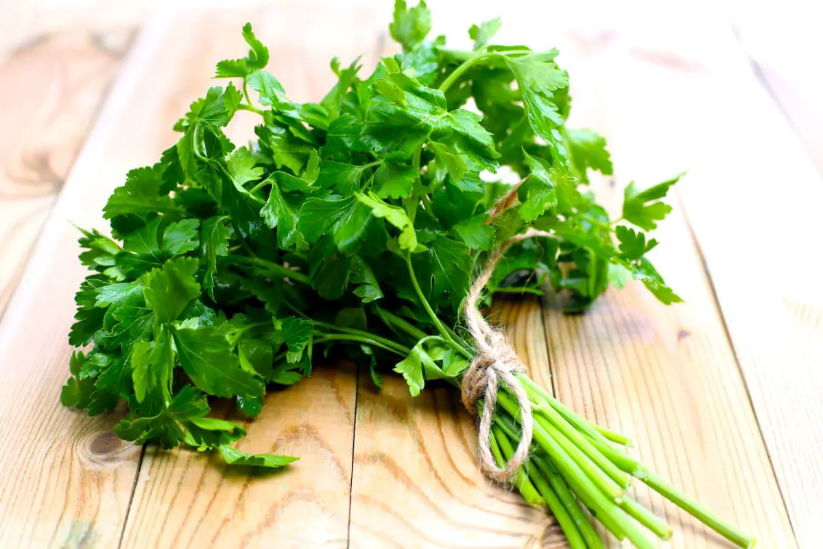 Parsley