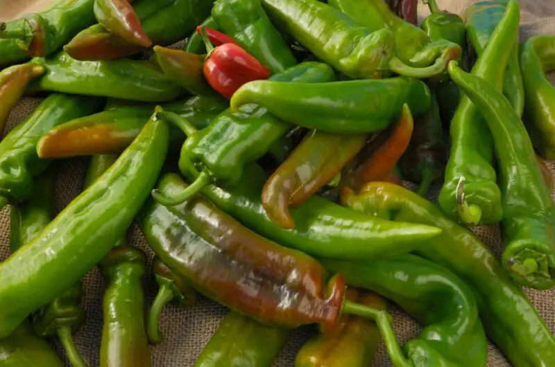 7 Tasty Anaheim Peppers Substitutes