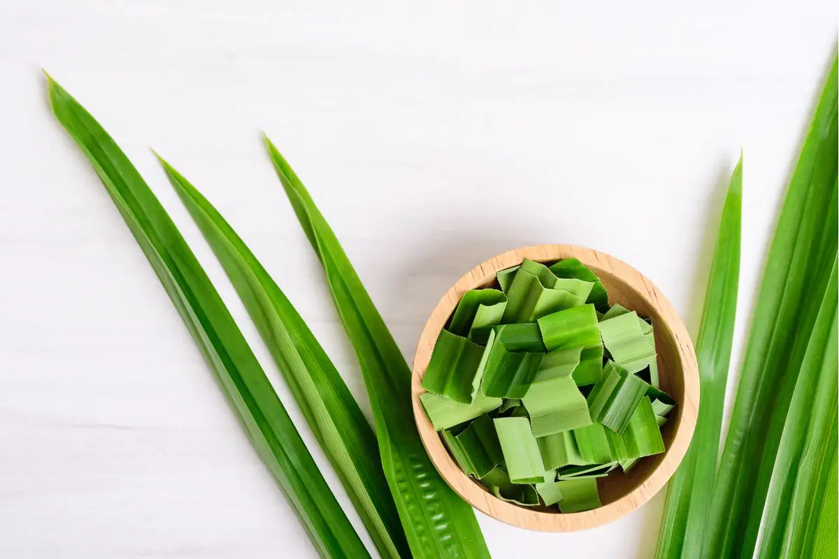 The 10 Best Pandan Substitutes