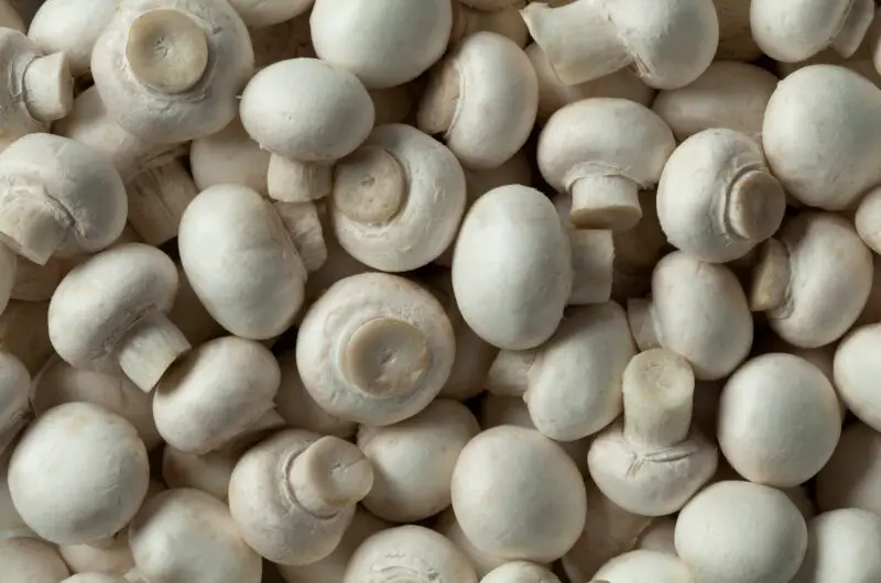 The 6 Best Substitutes For Button Mushrooms