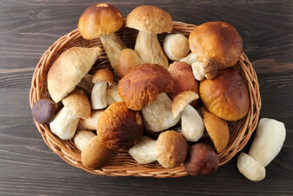 The 6 Best Substitutes For Button Mushrooms