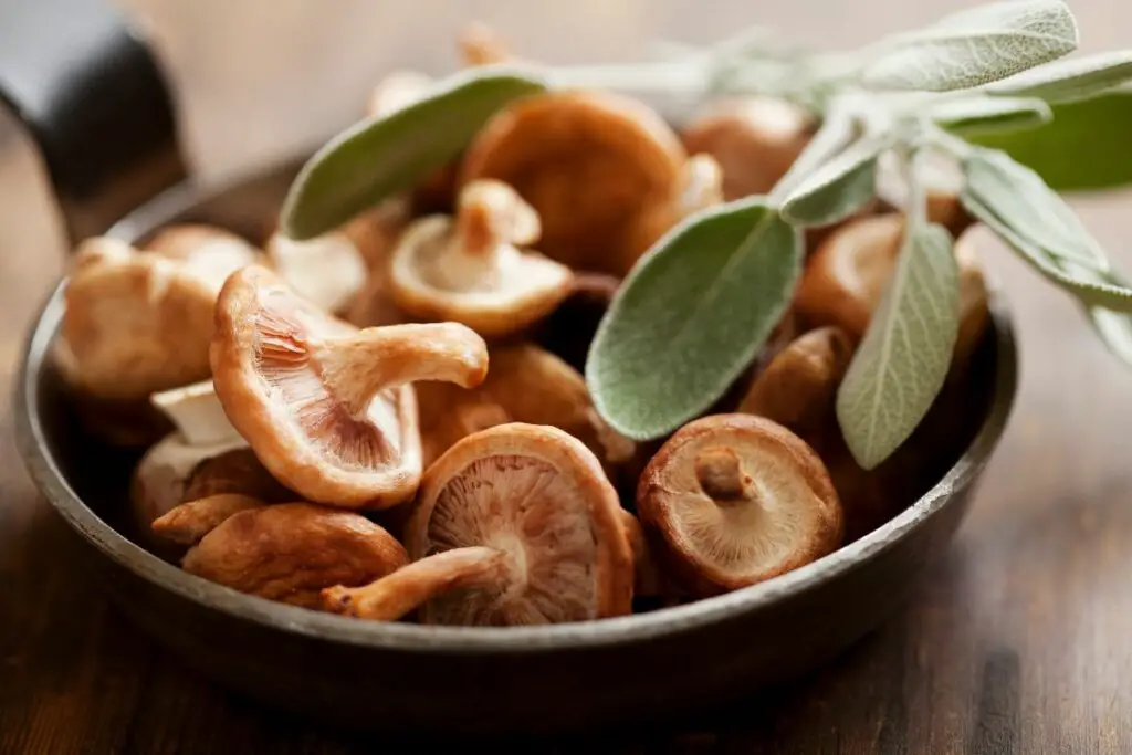 The 6 Best Substitutes For Button Mushrooms 