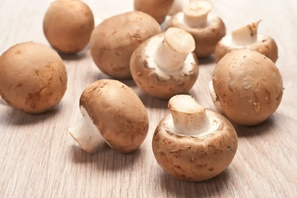 The 6 Best Substitutes For Button Mushrooms 